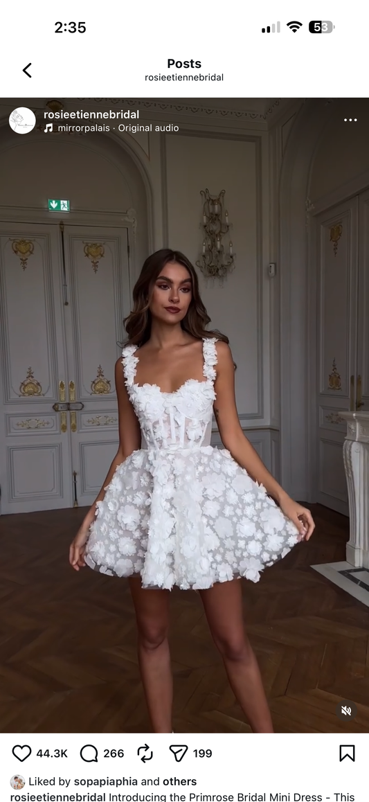 ROSIE ETIENNE SIZE 4 DRESS (UK 8)